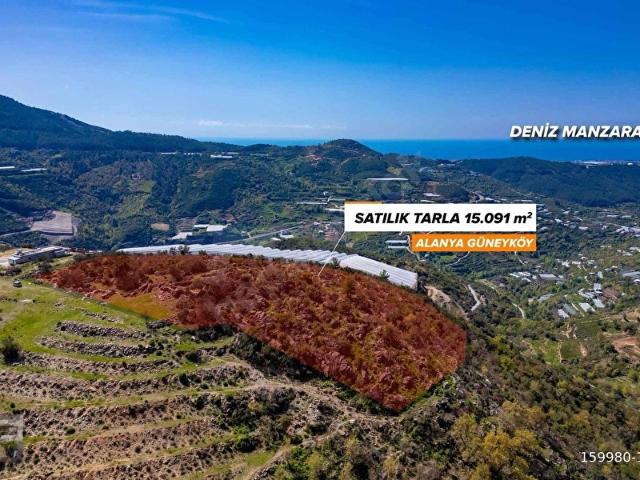ALANYA GÜNEY MAH 15 DÖNÜM SATILIK ARAZİ