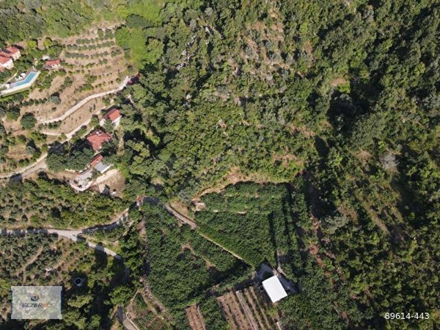 ALANYA da KÖYDE Otele yakın SATILIK Tarla
