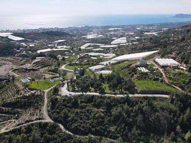 ALANYA da satılık YATIRIM ARAZİSİ