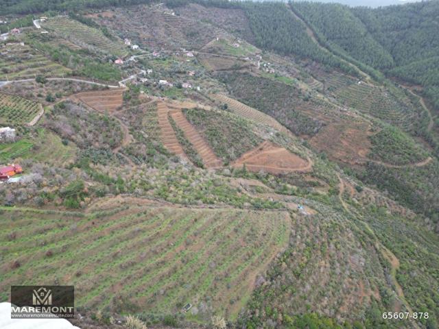 ALANYA DEMİRTAŞ ÇAMLICADA SATILIK 640 M2 MÜSTAKİL TARLA