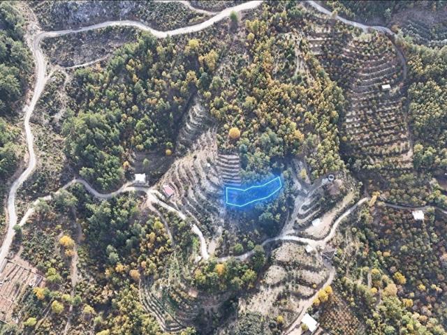 ALANYA DERETÜRBELİNAS'TA 1.384 M2 MÜSTAKİL TAPULU SORUNSUZ
