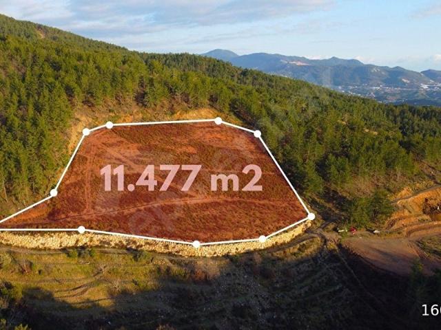 ALANYA EMİŞBELENİ MAHALLESİNDE SATILIK TARLA