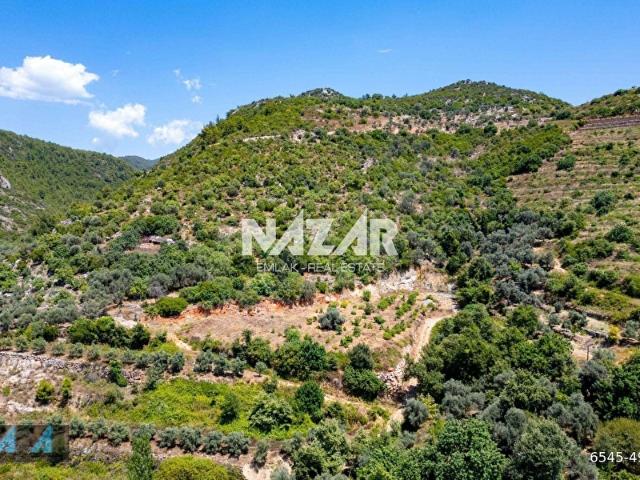 Alanya Elikesikte 4.377 m Satılık Tarla Avokado Bahçesi