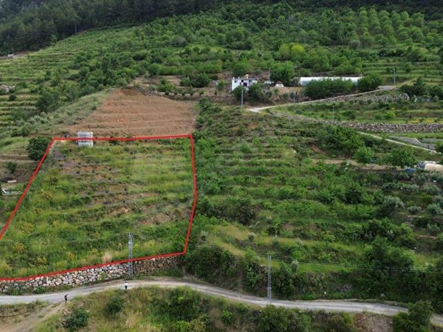 ALANYA FAKIRCALI MAH SATILIK 2400 M2 KURULU AVUKADO BAHÇESİ