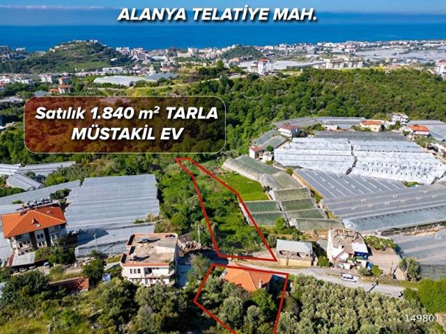 ALANYA KONAKLI MAH. DENİZ MANZARALI SATILIK TARLA VE MÜSTAKİL EV