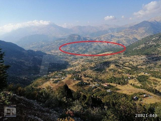 ALANYA KÖPRÜBAŞI YAYLASINDA SATILIK 2900M2 YERLEŞİM ALANI İÇİNDE BAHÇE