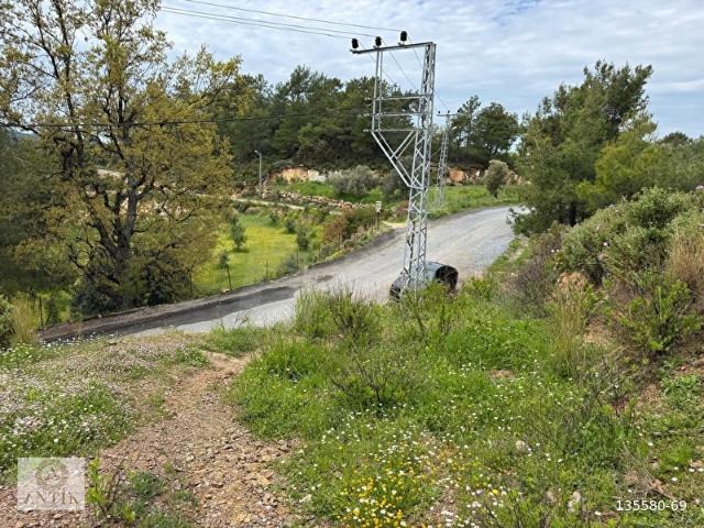 ALANYA KARAMANLARDA YOL ÖNÜ 953 m DOĞAYLA İÇ İÇE FIRSAT PARSELİ