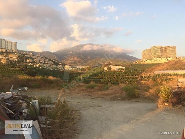 Alanya Kargıcak'ta Satılık Konut İmarlı Arsa