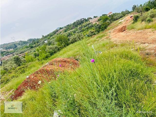 ALANYA KIZILCAŞEHİR MAH. SATILIK TARLA