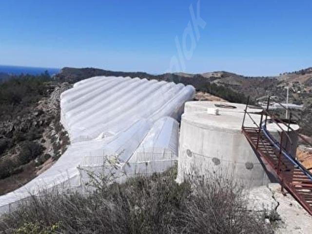 Alanya Hocalar Mahallesi Yatırımlık Satılık 8408 m2 Kurulu Düzen