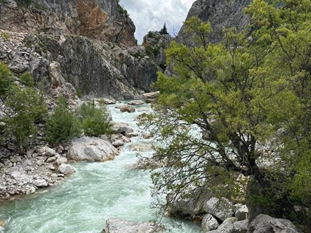 ALANYA İMAMLI YAYLASI BÜK MEVKİİ