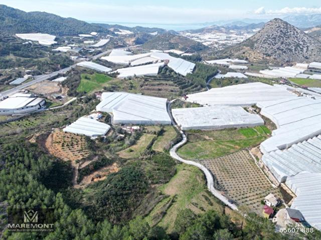 ALANYA İMAMLI SATILIK 12.800 M2 MÜSTAKİL TARLA