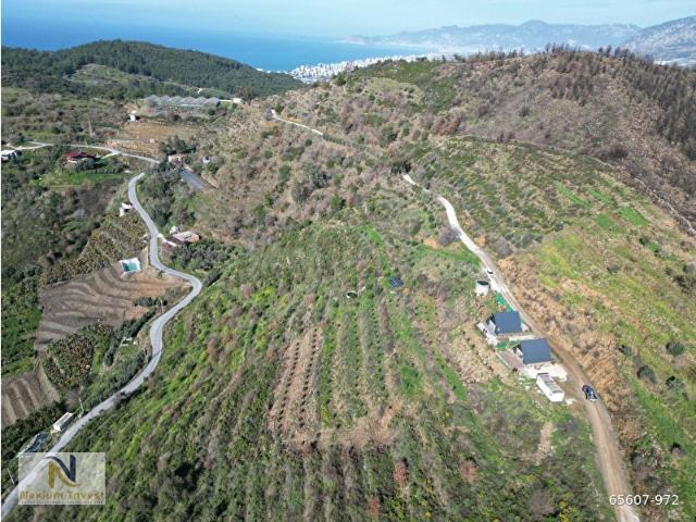 ALANYA İSBATLI SATILIK 8 DÖNÜM TARLA VE 2 BUNGALOV