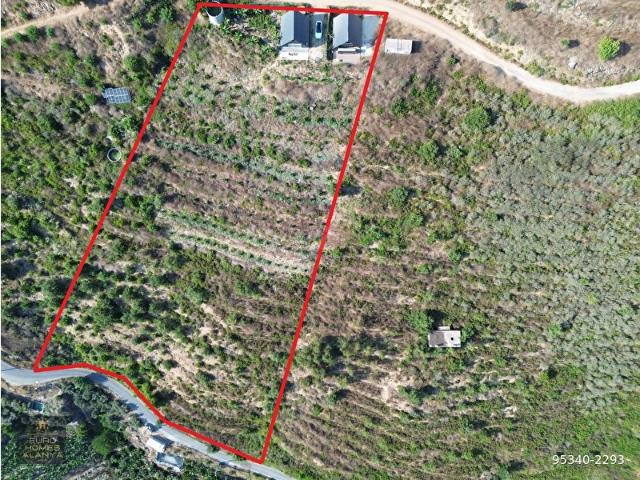 ALANYA İSPATLI MAHALLESİNDE SATILIK 8.600 M2 DENİZ MANZARALI TARLA