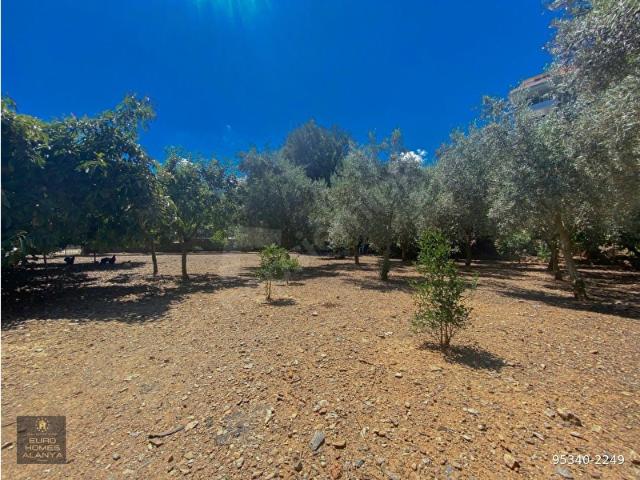 ALANYA OBA MAHALLESİNDE SATLIK 504 M2 İMARLI ARSA