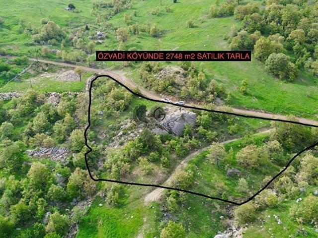 ALANYA ÖZ VADİ'DE 2748 m MANZARALI SATILIK TARLA