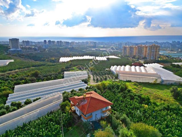 Alanya Mahmutlarda Satılık Yatırıma Uygun Komple Müstakil Bina