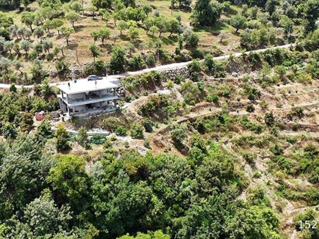 ALANYA SOĞUKPINAR KURULU DÜZEN 9.023m3 AVOKADO BAHÇESİ