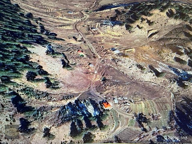 ALANYA SÖĞÜT YAYLASI SATILIK 4670 m2 MÜSTAKİL TAPULU TARLA