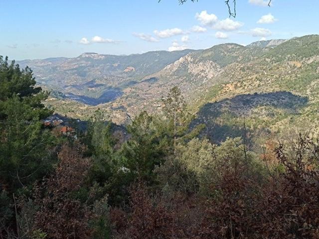 ALANYA SULEYMANLAR KÖYÜNDE SATİLİK YATİRİMLİK TARLA