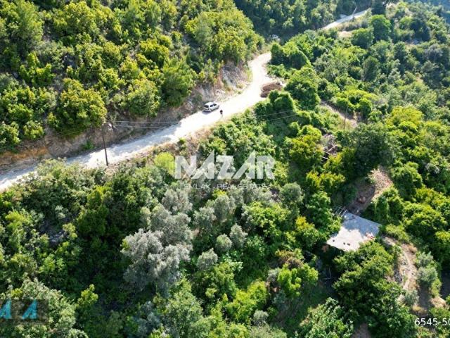 Alanya Süleymanlarda 300 m Satılık Tarla