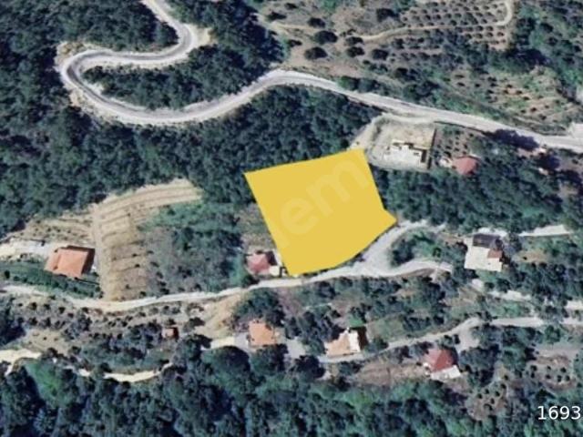 Alanya Paşaköy'de Müstakil Tapu Satılık 3.300 M2 Köy İçi Arsa