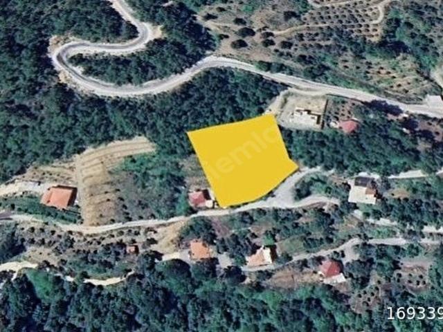 Alanya Paşaköyde Müstakil Tapu Satılık 3.300 mt2 Köy İçi Arsa