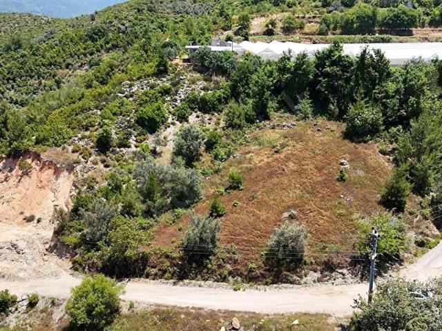 ALANYA TOSLAK YENİKÖY MAHALLESİNDE SATILIK 2.545 M2 ARAZİ