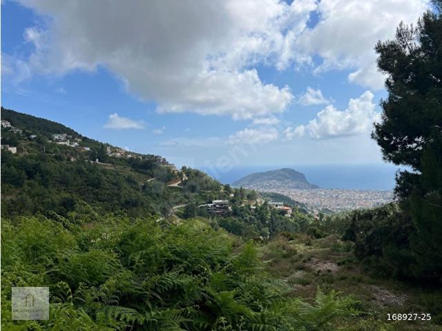 ALANYA TEPE MAHALLESİNDE SATILIK İMARLI ARSA