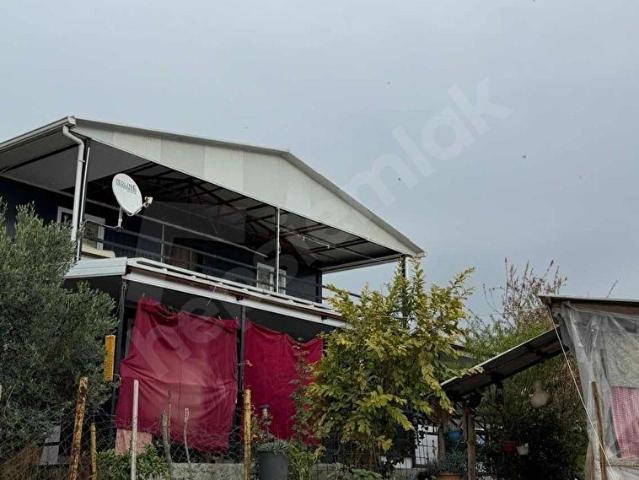 ALANYA TÜRKLER'DE SATILIK 491 M2 KURULU DÜZEN TARLA