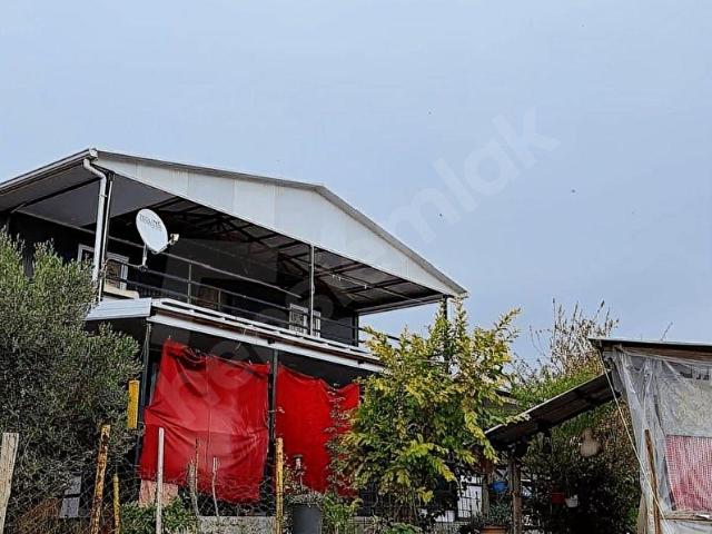 ALANYA TÜRKLER'DE SATILIK 491 M2 KURULU DÜZEN TARLA