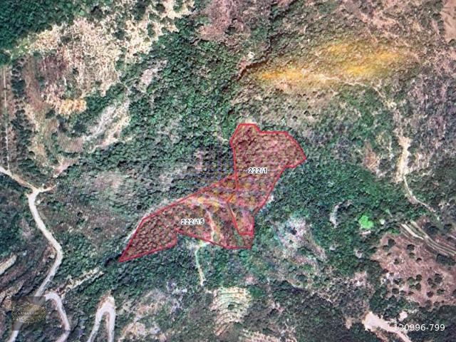 ALANYA TÜRKTAŞ MAH.YATIRIMLIK SATILIK 9800 m2 TARLA
