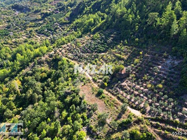 Alanya Türktaş'ta 4.298 m Satılık Tarla