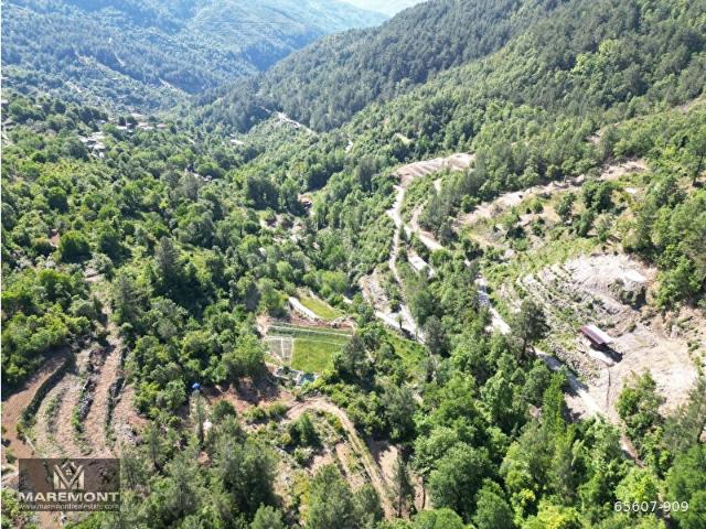 ALANYA UĞURLU SATILIK İKİ ADET MÜSTAKİL TARLA