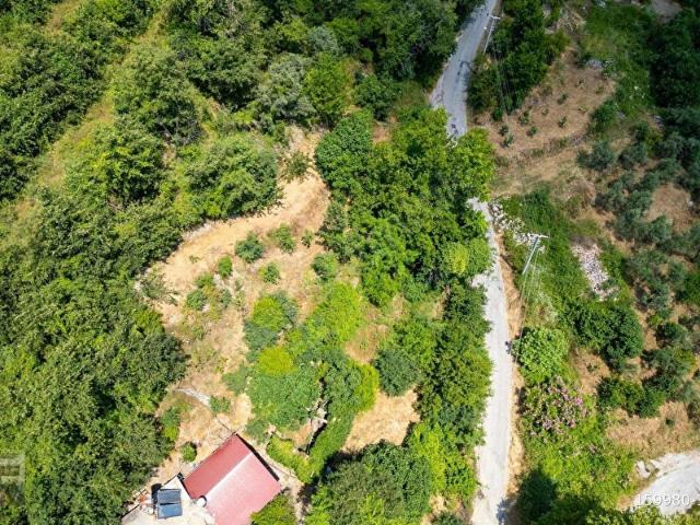 ALANYA UĞURLUDA SATILIK DOĞA İÇİNDE 447 m BAHÇE