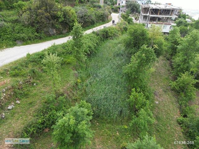 Alanya Yaylalı Mahallesinde Doğa İçerisinde Satılık Yatırımlık Tarla