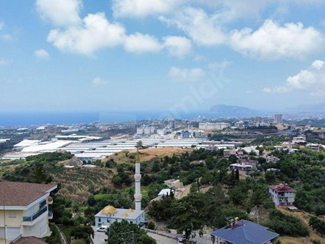 ALANYA YAYLALI MAH 1491 M2 SATILIK VİLLA ARSASI