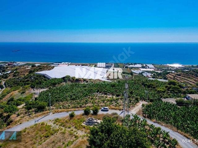Alanya Yeşilözde 572 m Deniz Manzaralı Tarla