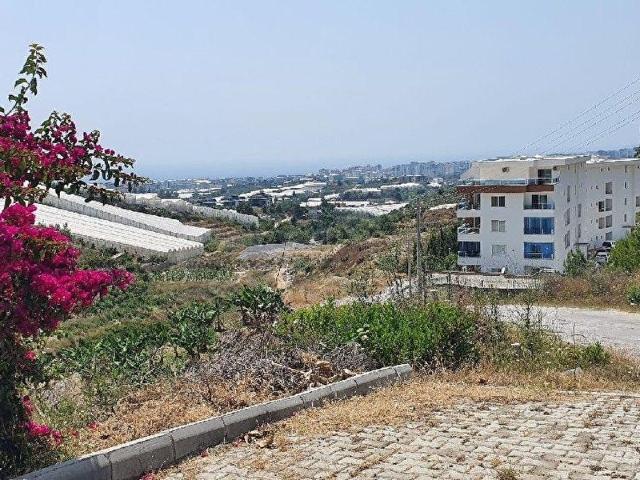 ALANYAKARĞICAK'TA KOMPLE DENİZ MANZARALI 1225 M2 DEĞERLİ BAHÇE YAPILMIŞ ARSA