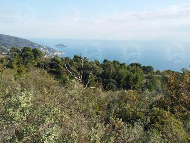Alassio Andora, terreno incolto collinare, vista mare