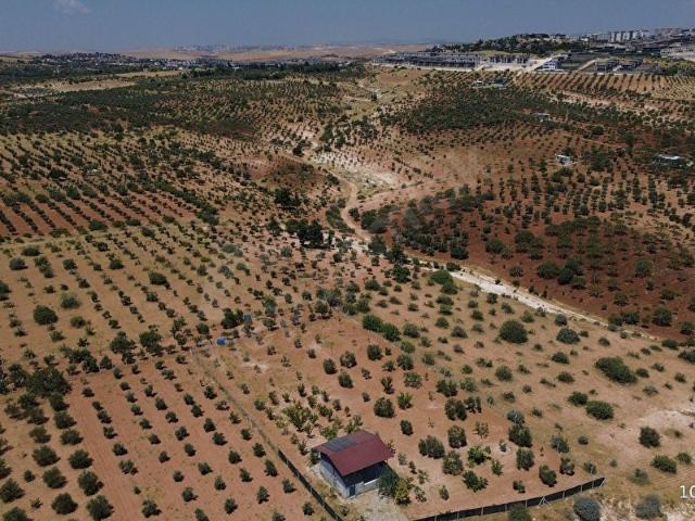 ALAS'TAN BOZDAĞDA ZİRVE KONUMDA ETRAFI ÇEVRİLİ KONTEYNER BAĞ EVİ