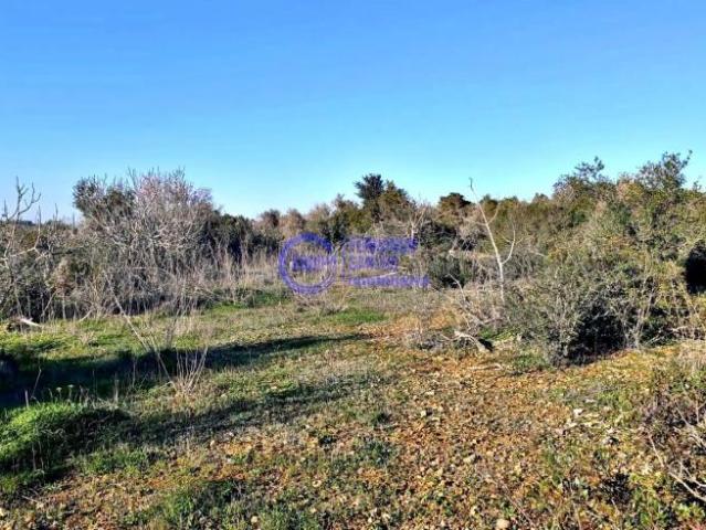 Albufeira Algarve 73339931