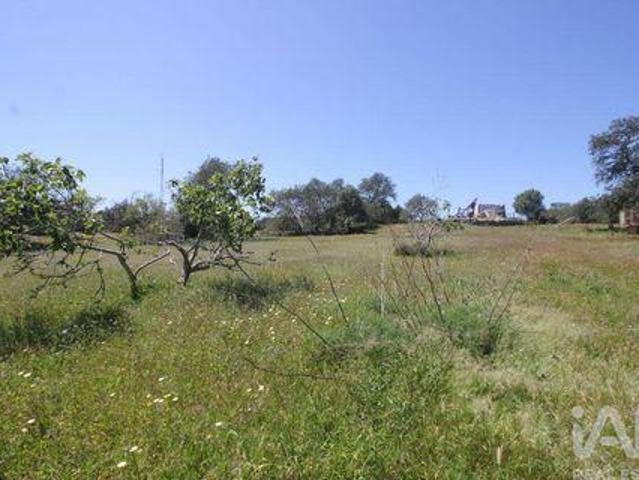 Albufeira Faro 91798585