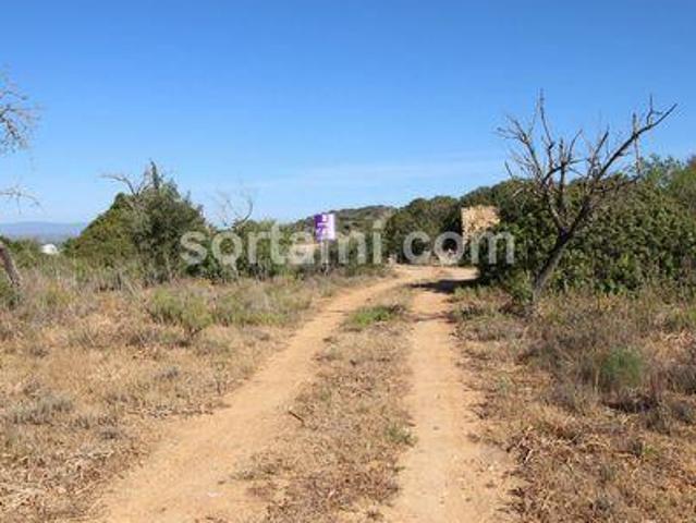 Albufeira Faro 96331066
