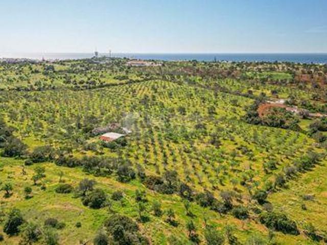 Albufeira Faro 99518630