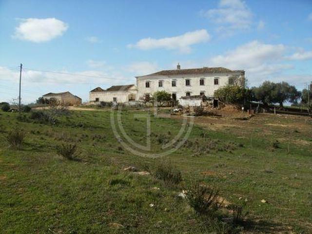 Albufeira Faro 100988351