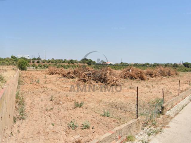 Albufeira Faro 103003227