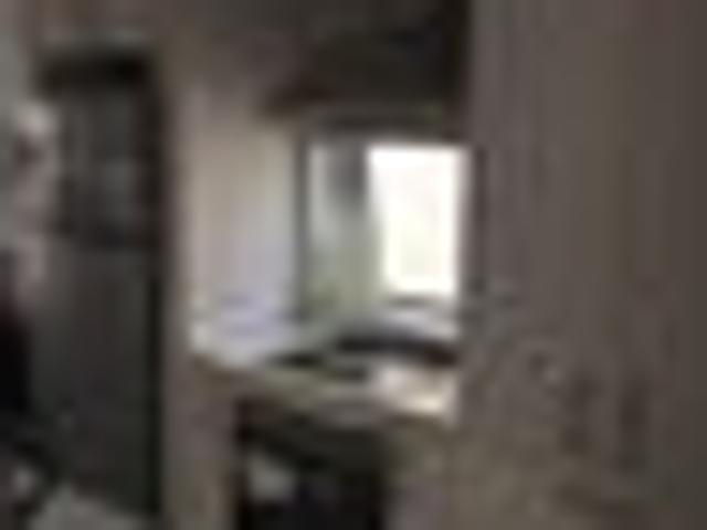 Albany, 3 bedrooms, $675 pw