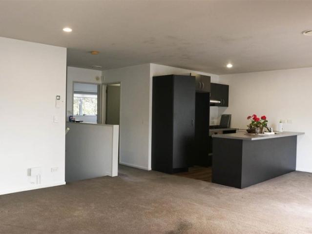 albany, 1 bedroom