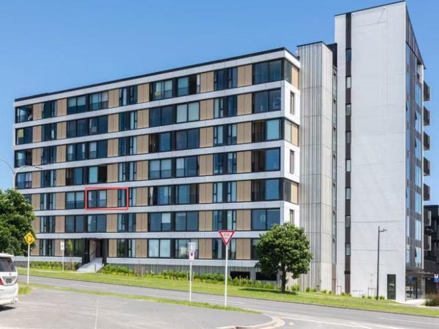 albany, 1 bedroom